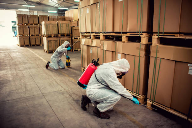 Best Local Pest Control Services  in New Holland, PA