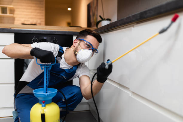Best Residential Pest Control  in New Holland, PA