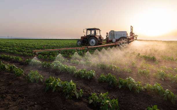 Best Ant Control Services  in New Holland, PA
