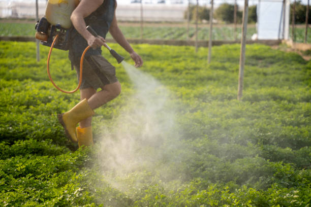 Best Exterminator Services  in New Holland, PA