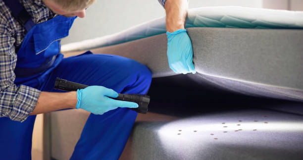 Flea Control Services in New Holland, PA