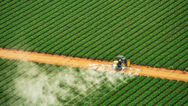 Trusted New Holland, PA Pest Control Experts