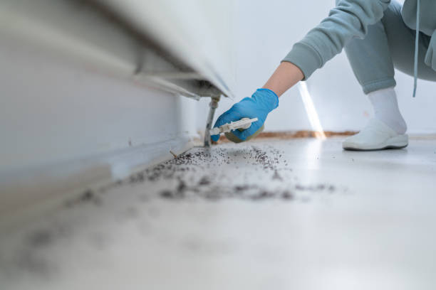  New Holland, PA Pest Control Pros