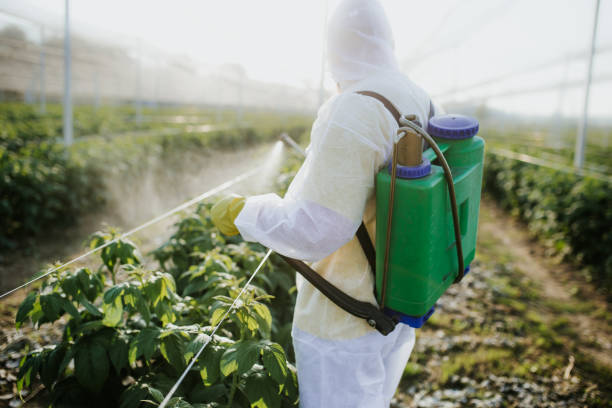 Best Pest Removal Services  in New Holland, PA
